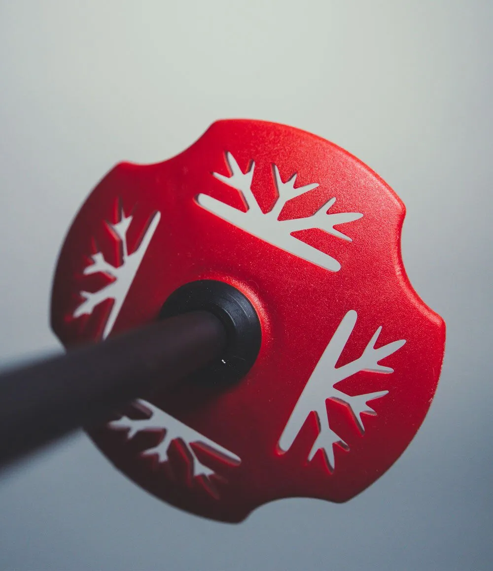 DPS Fixed Carbon Pole 3 DPS Fixed Carbon Pole - immagine 3