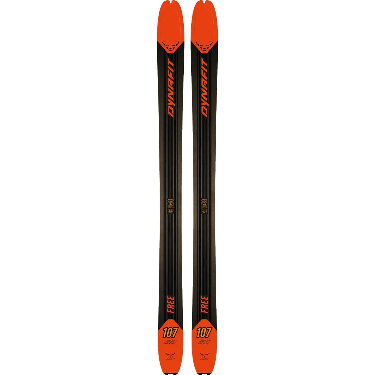Dynafit Free 107 22/23 1 Dynafit Free 107 22/23